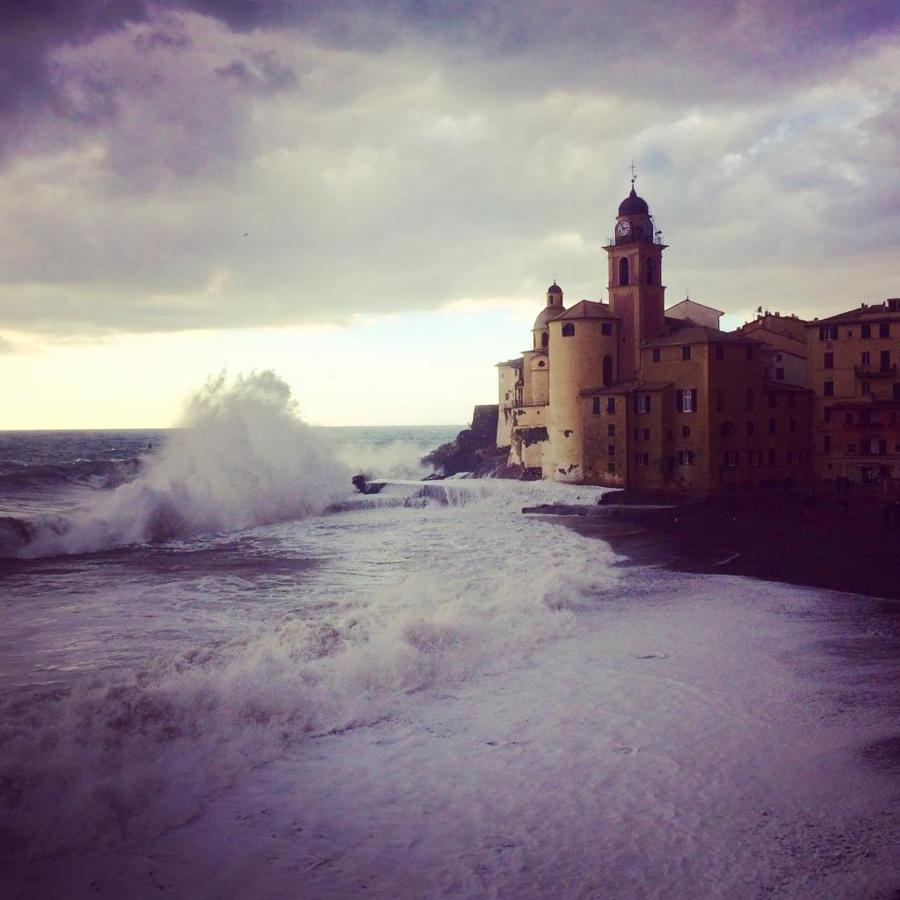 La Casa Della Fiore Vila Camogli Exterior foto