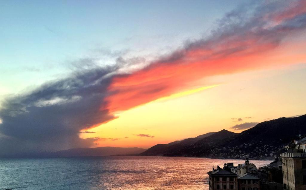 La Casa Della Fiore Vila Camogli Exterior foto